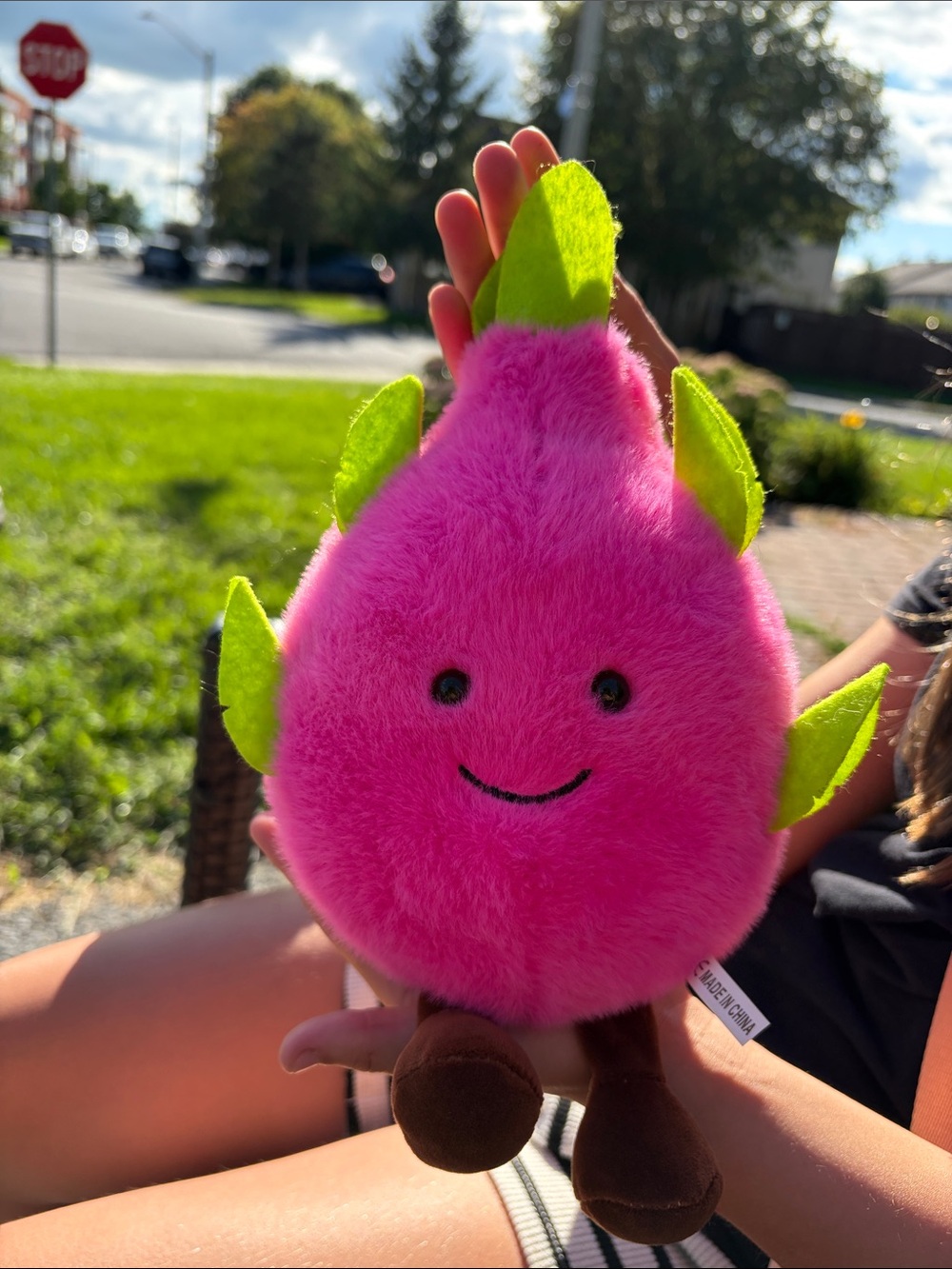 🔥 3/$25 - Plush Pink Smiling Dragonfruit Kids Plush Toy